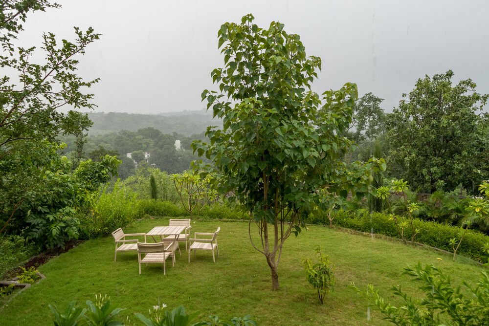 The cottage garden